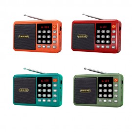 Máy nghe nhạc, máy nghe kinh phật, Loa Bluetooth A Mi Đà Phật